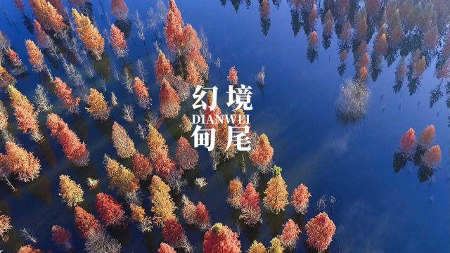 救援旅游者