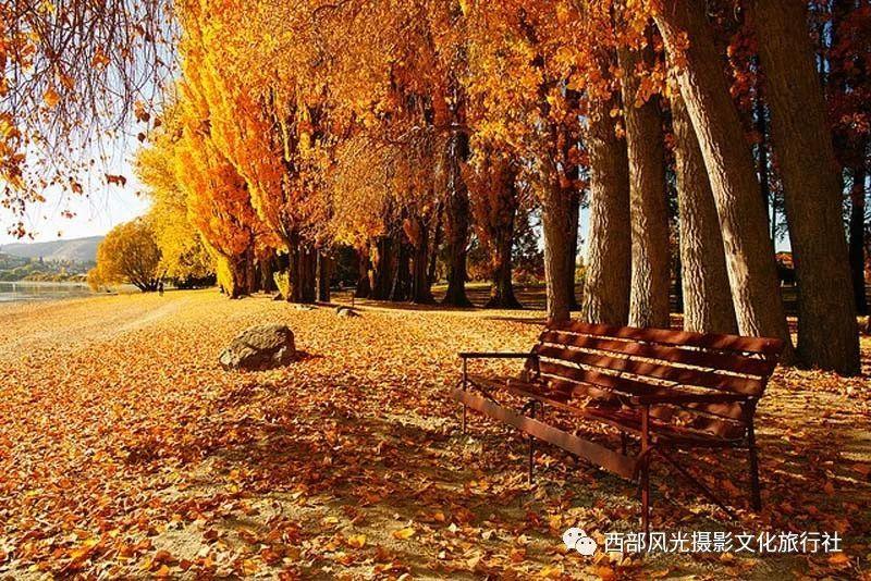 windows10恢复上次游戏画面