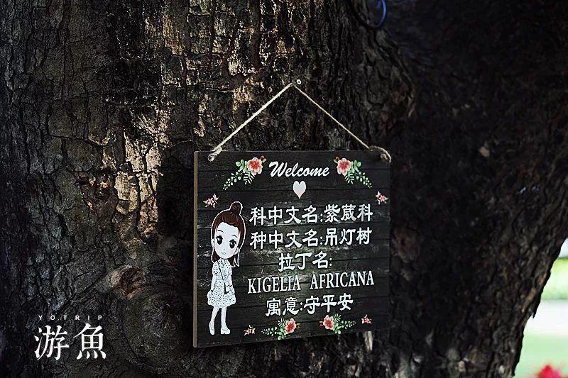 黑暗之魂