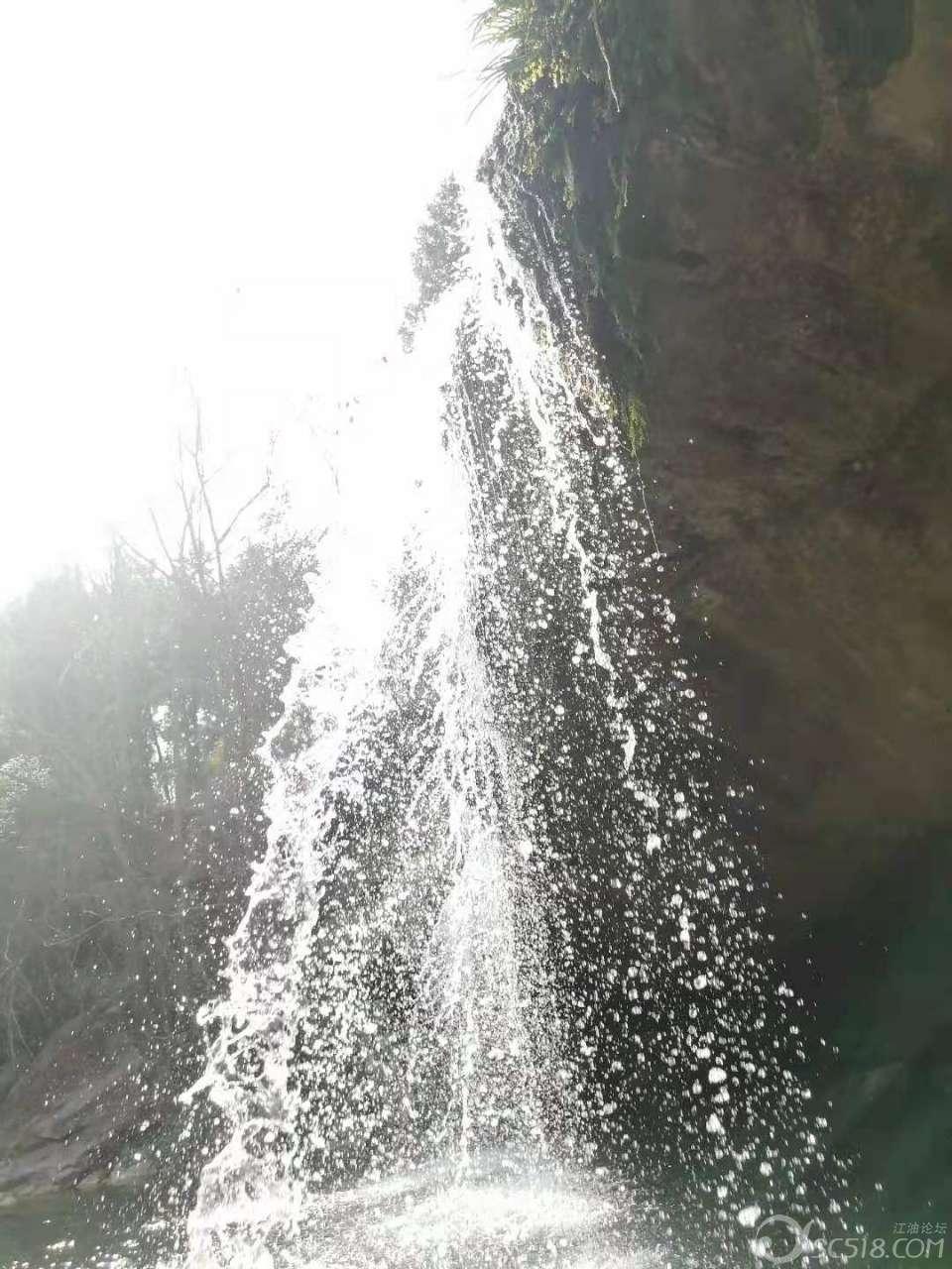 逃离白鸽之森