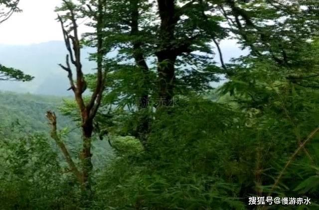 逃离荒废房屋