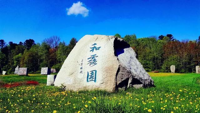 大片还得看总台！出圈又出海，赚了吆喝赚口袋！