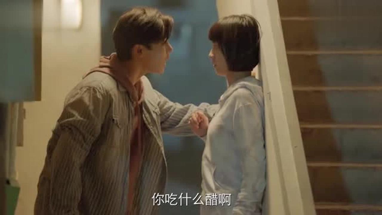 动物拼一拼