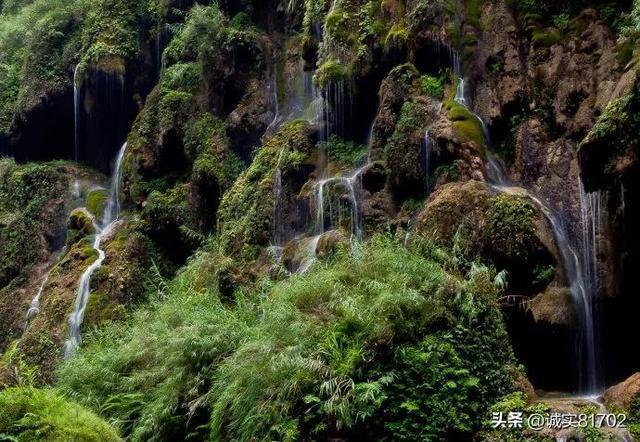 和同事吃饭，我把菜都吃光了，该怎么办？