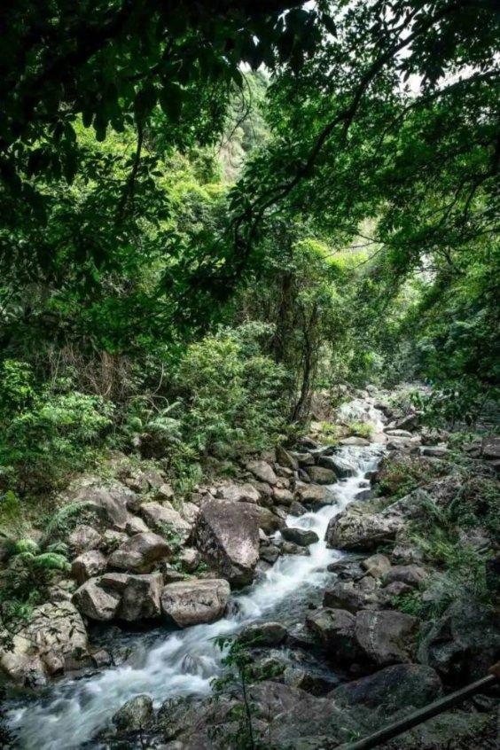 埃琳娜房间清洁