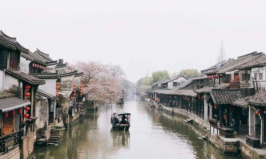 小猫钓鱼游戏龙王版有船