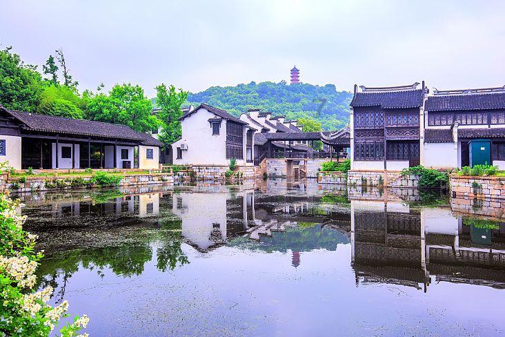 山茶油和橄榄油哪个好？两种油有什么区别吗？